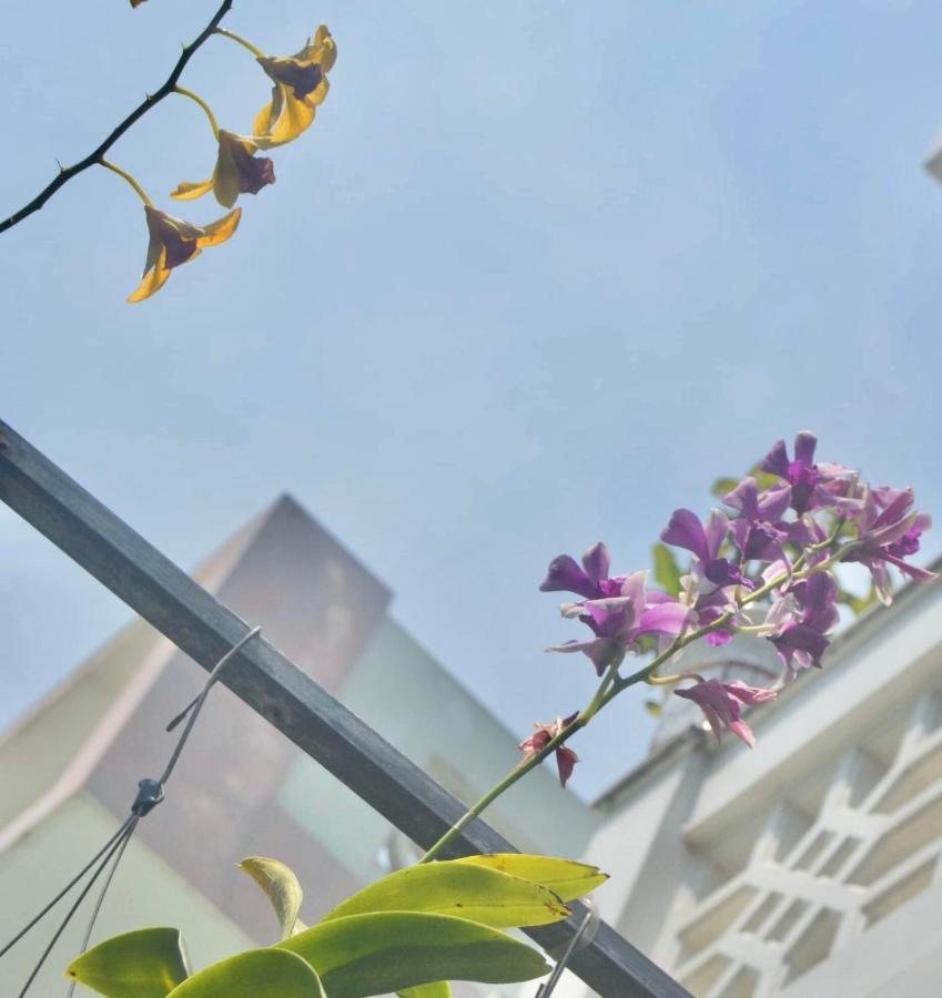 Apartamento The House 36 Hoi An Exterior foto